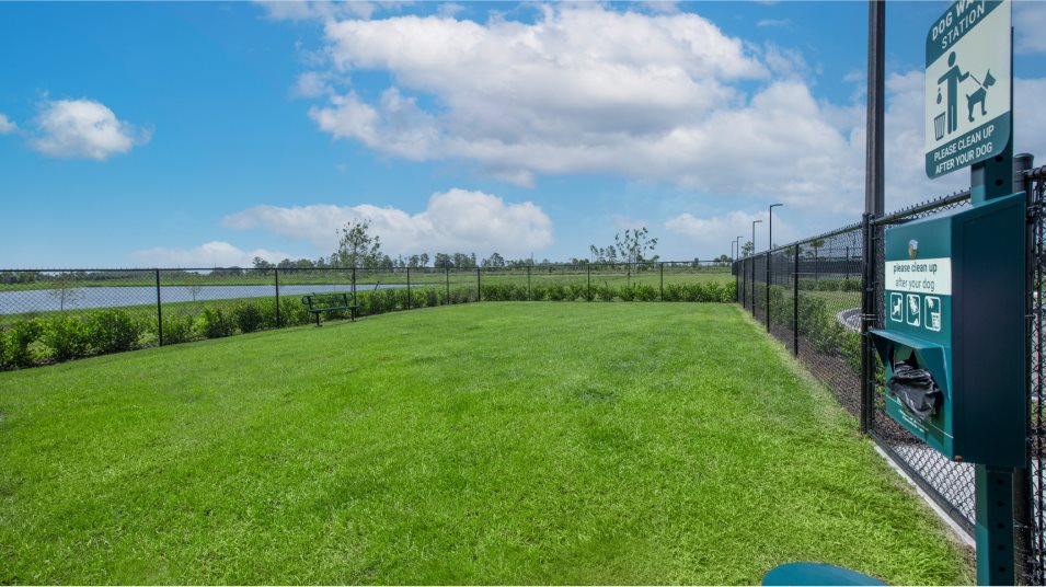 Dog park